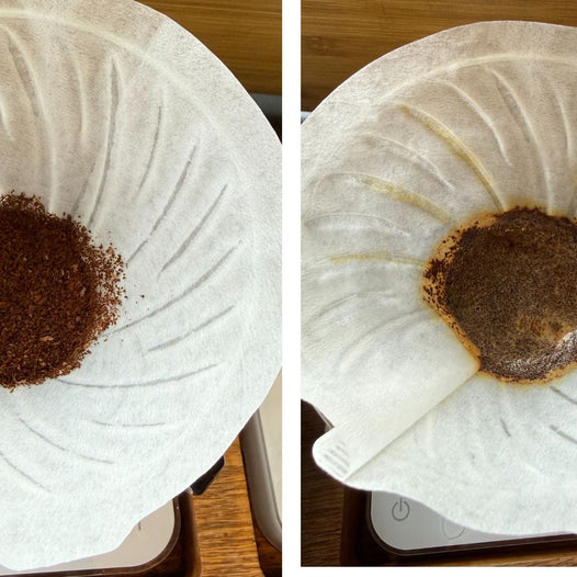 How to Master the Coffee Bloom for a Perfect Pour-Over