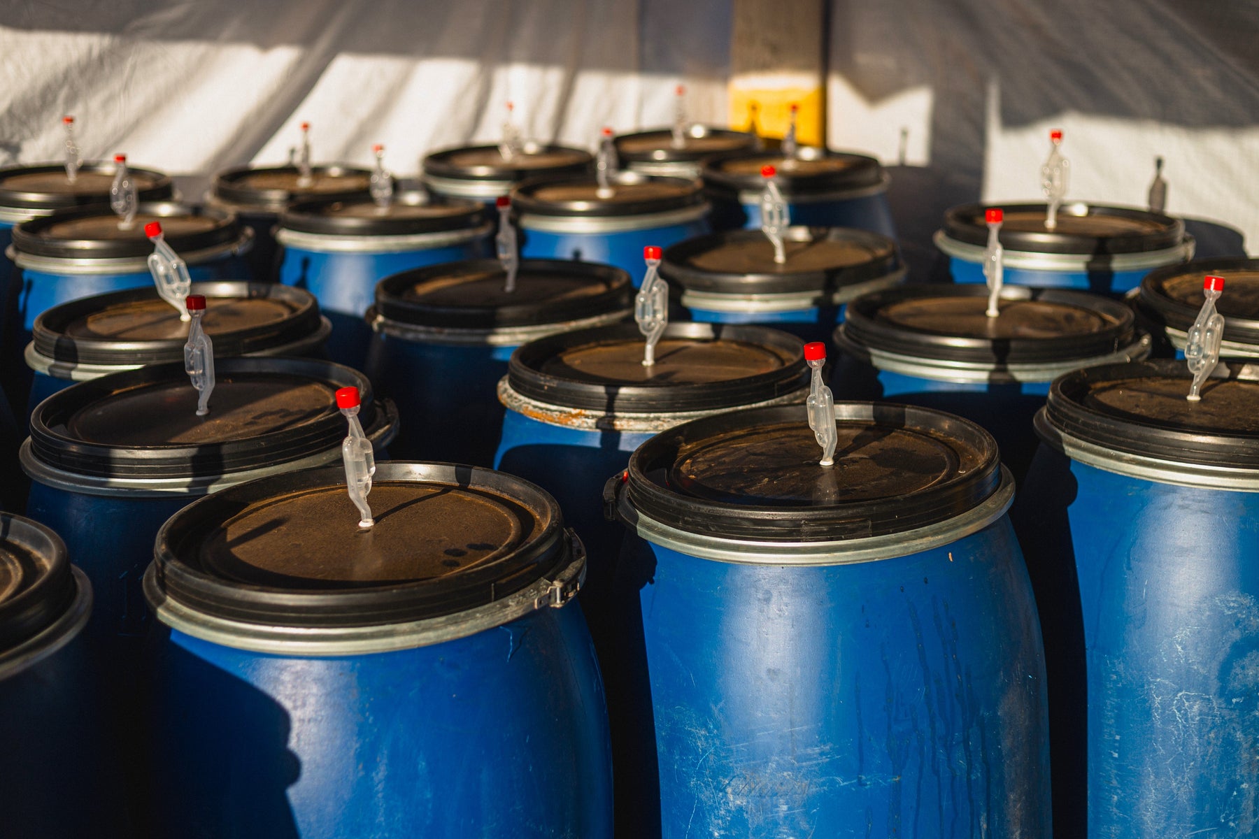 coffee fermentation barrels