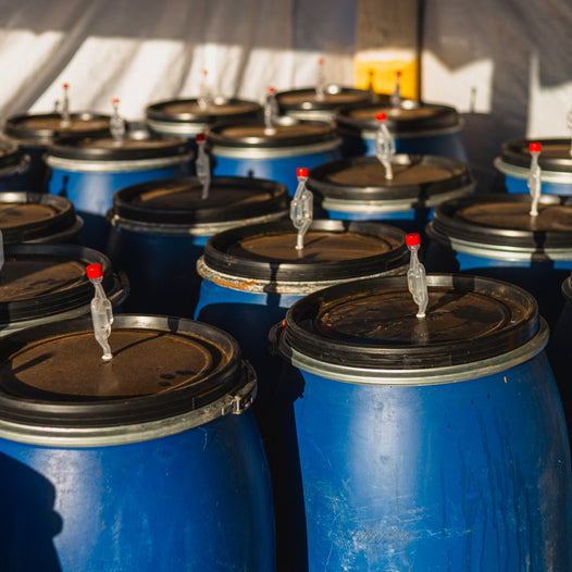 coffee fermentation barrels