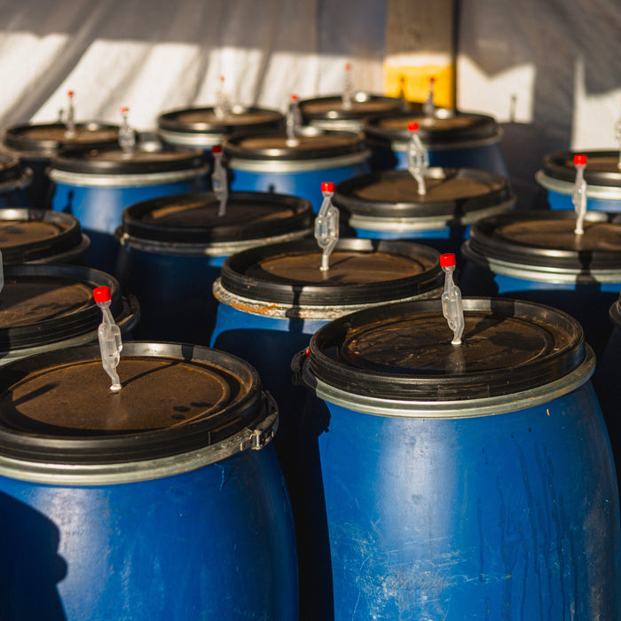 coffee fermentation barrels