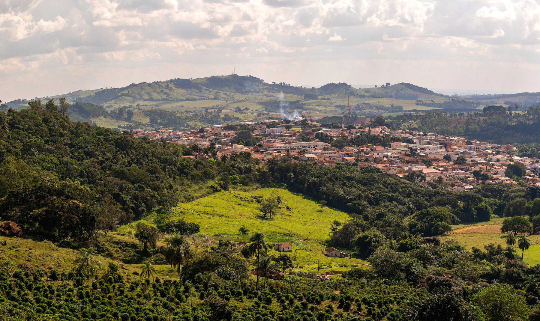 brazil coffee