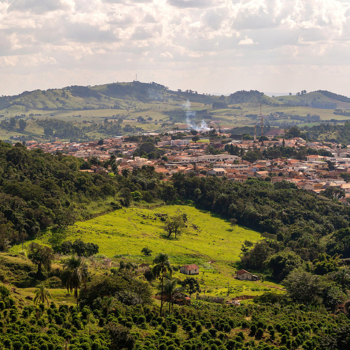 brazil coffee