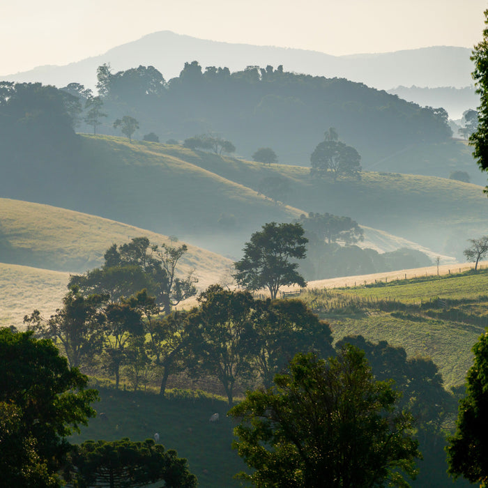 Brazil landscape photo