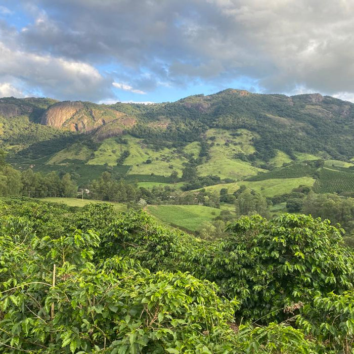 Brazil Sul de Minas FAF Campestre Community Natural Arara3