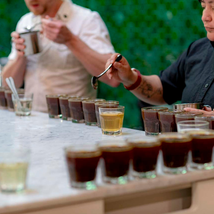 coffee cupping in the presentation room at the Crown