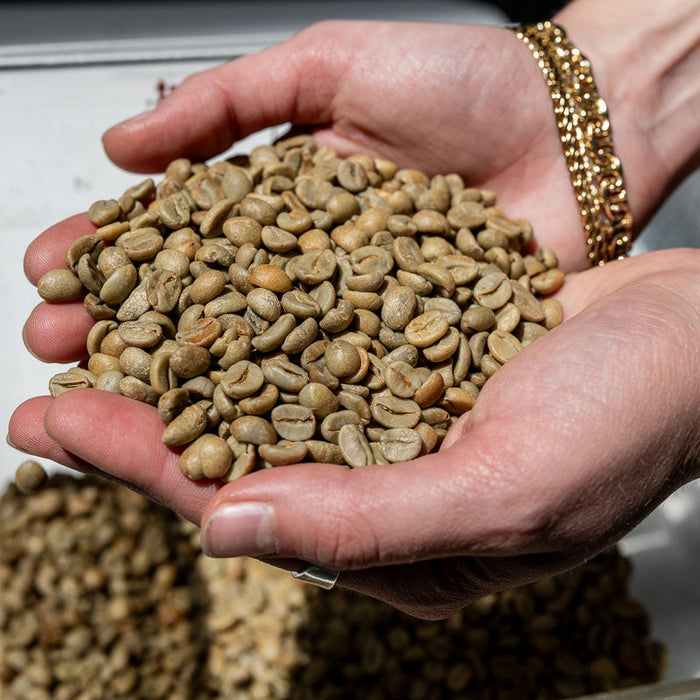 The Theory of Relative Humidity, green coffee beans