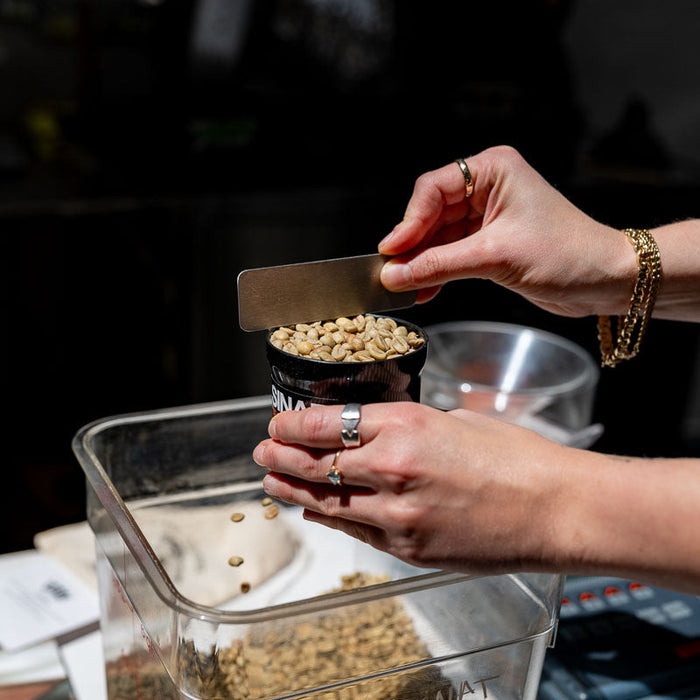 analyzing green coffee beans