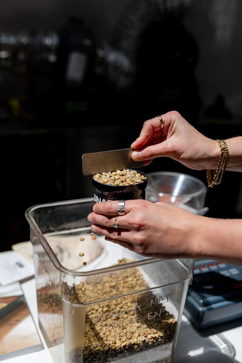 analyzing green coffee beans