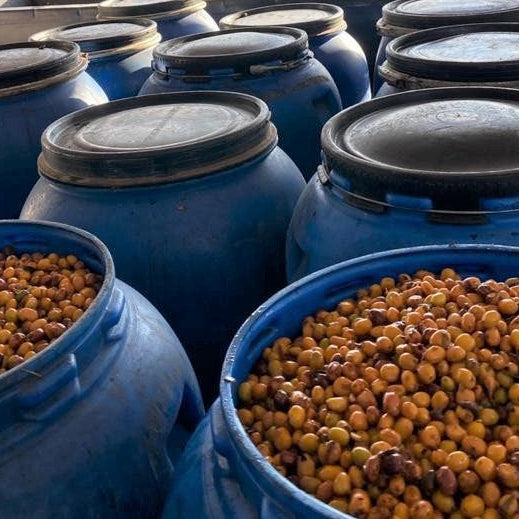 cofermented coffee