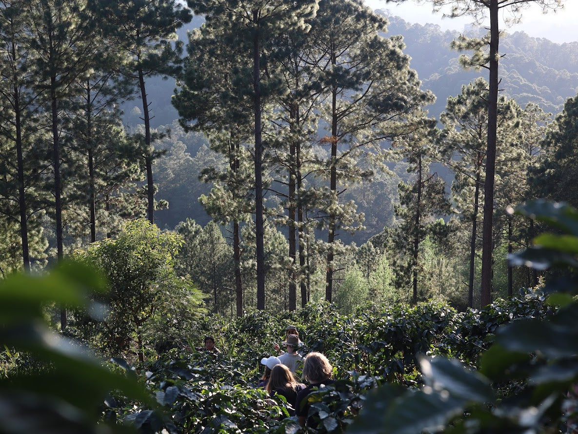 Visiting cooperative Comsa in Honduras