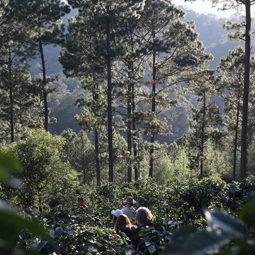 Visiting cooperative Comsa in Honduras