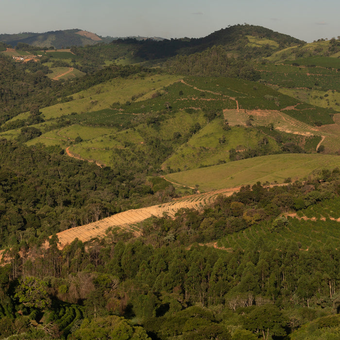 FAF coffee farm in brazil