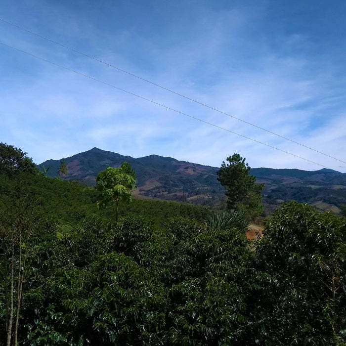 beautiful view of Cauca, Colombia