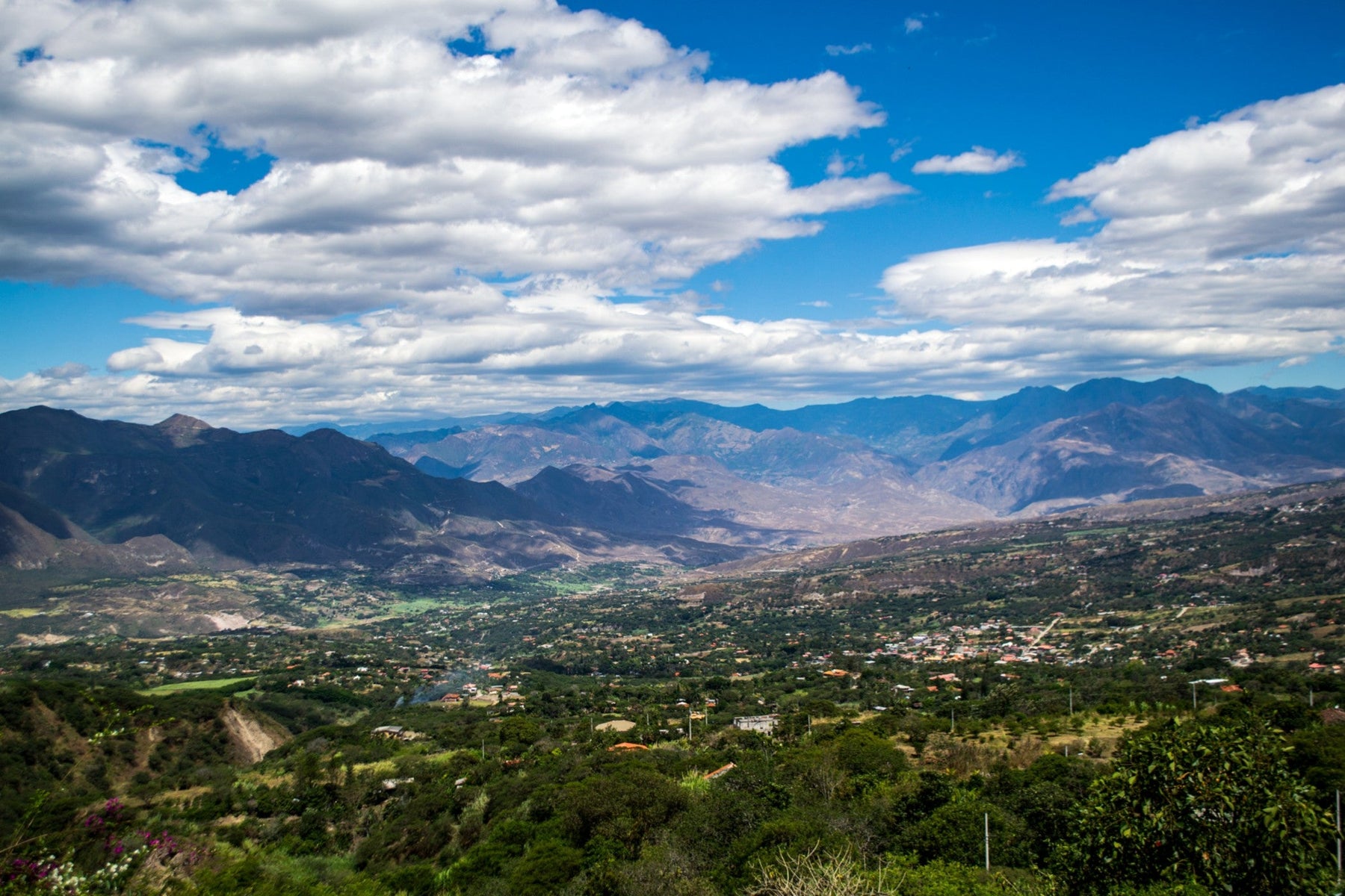 Ecuador coffeee export