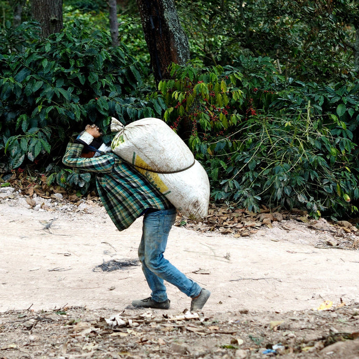 Finca El Durazno2