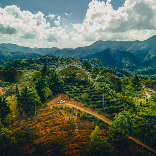 Honduras coffee origin