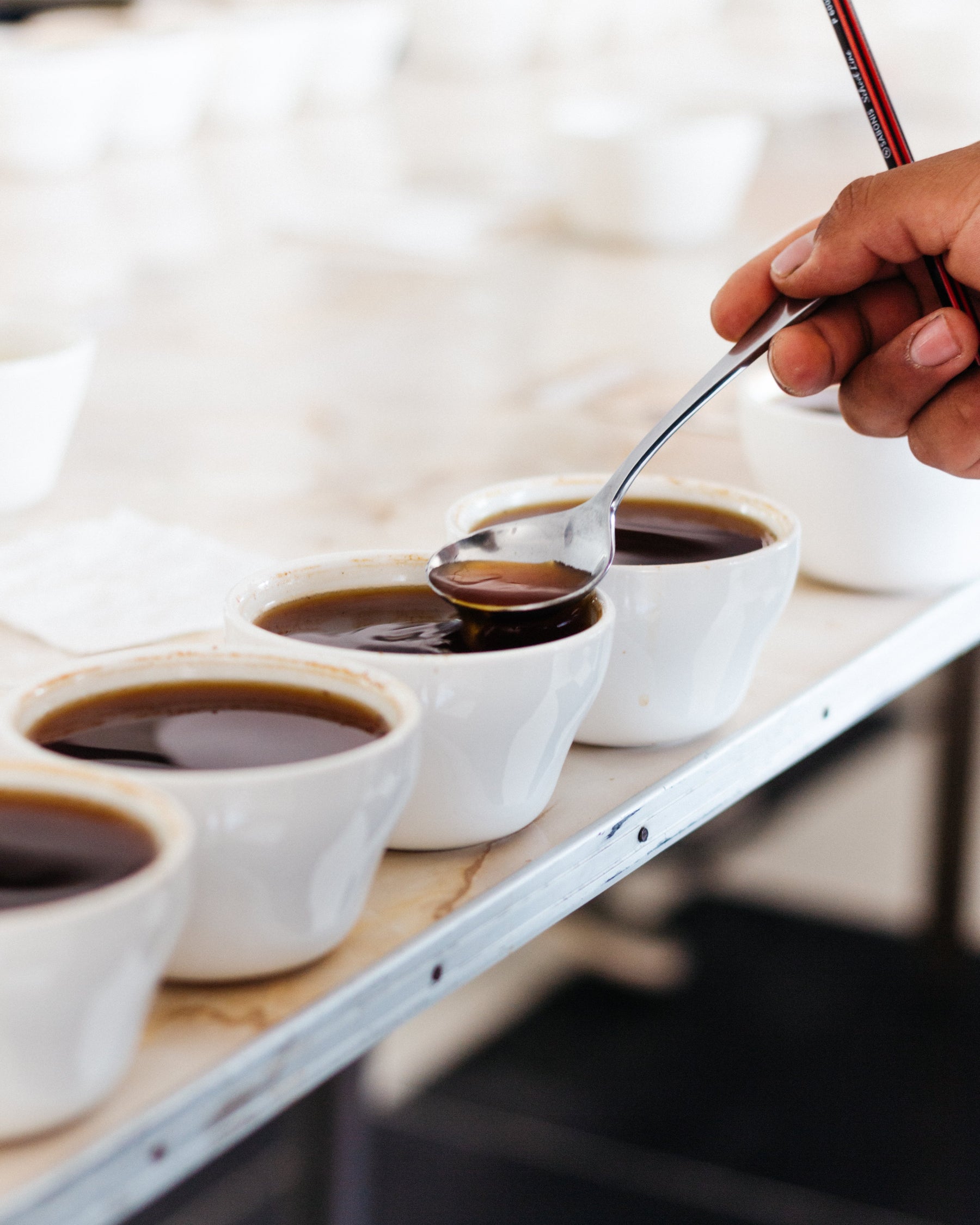 coffee cupping