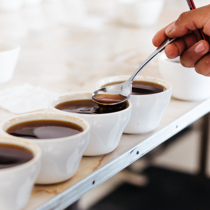 coffee cupping