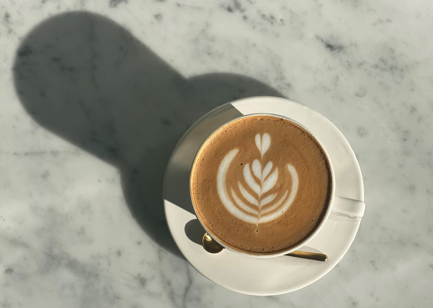 latte at a specialty coffee shop