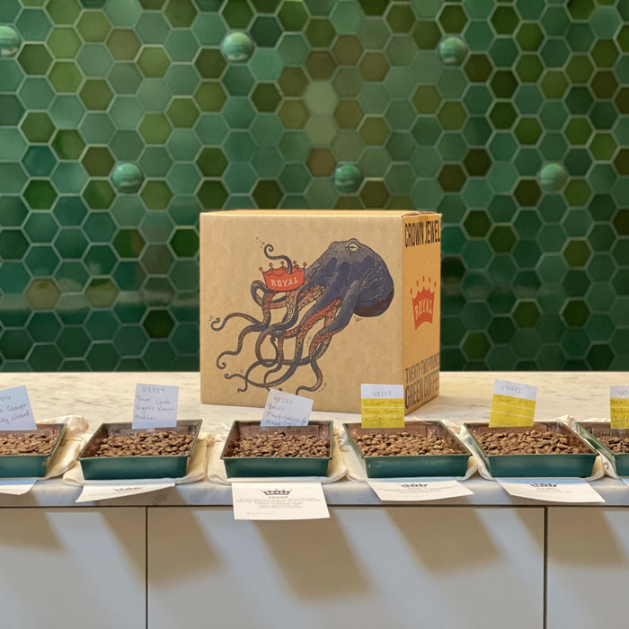 royal coffee crown jewel and coffee samples