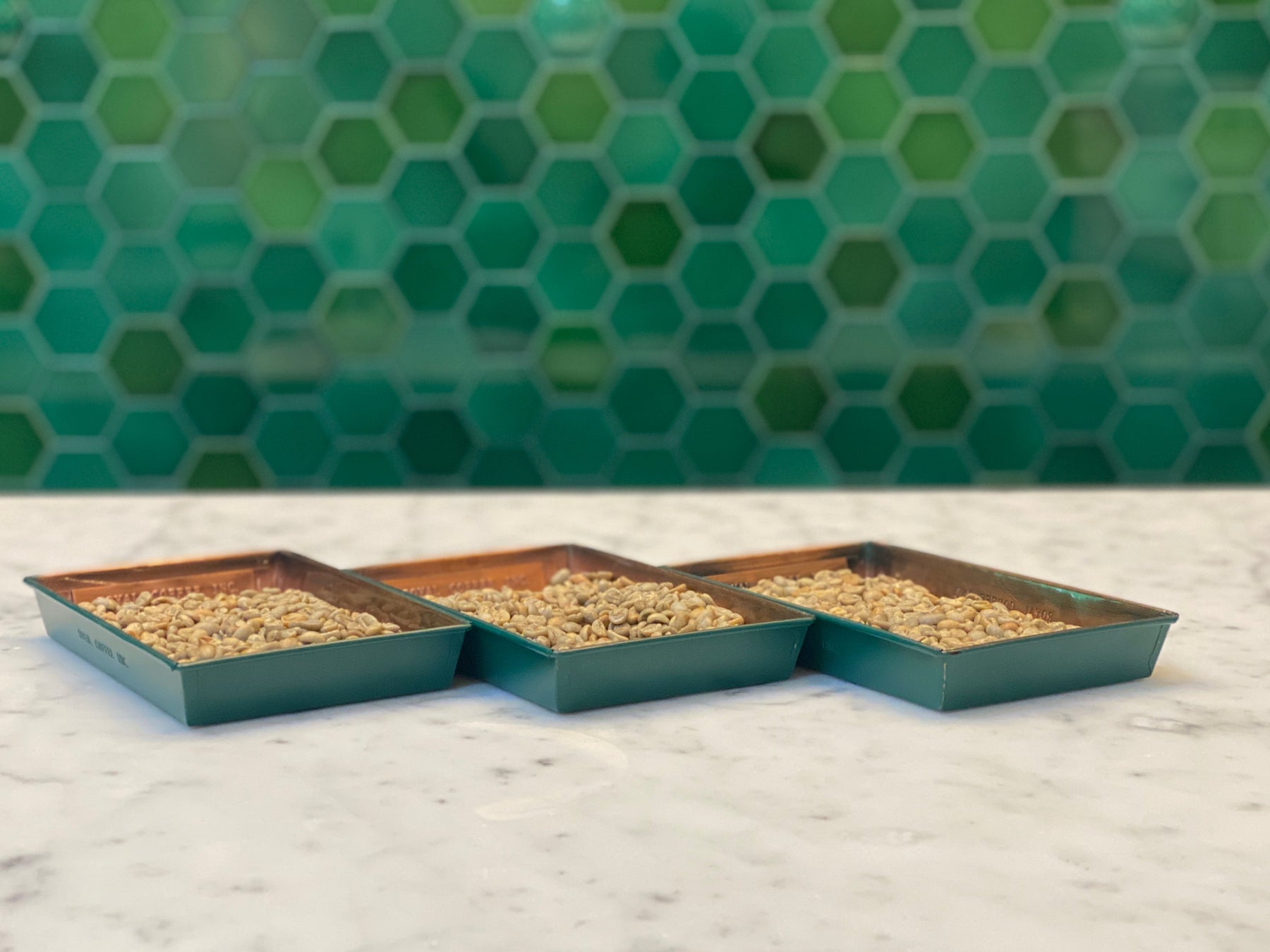 green coffees in trays