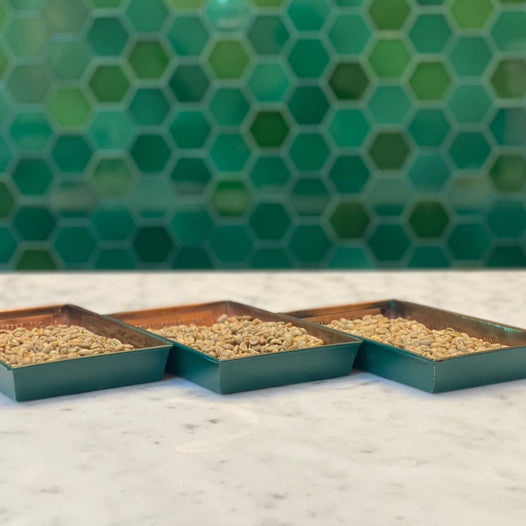 green coffees in trays