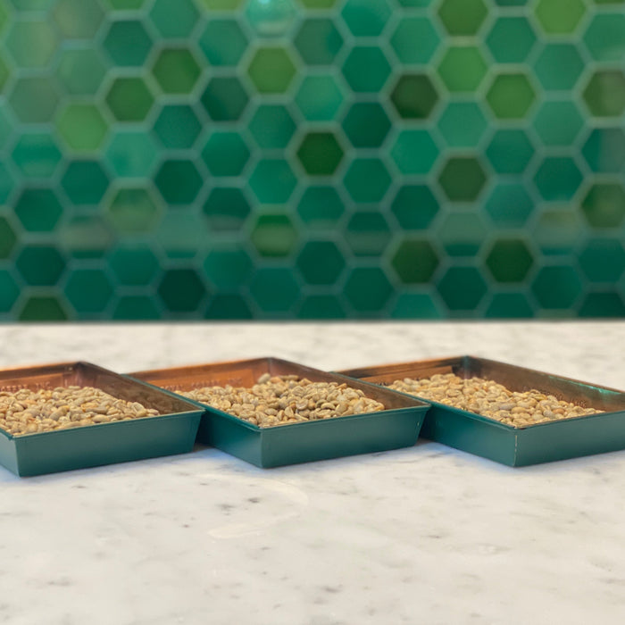 green coffees in trays