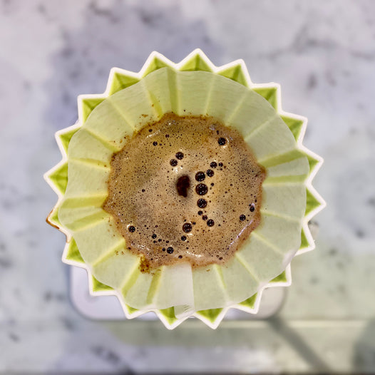 brewing coffee using origami brewer