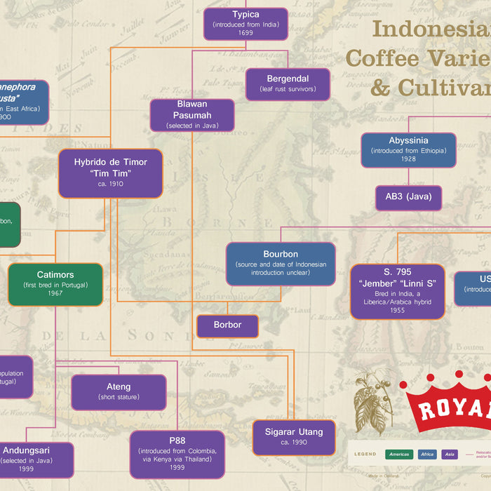 Indonesian Coffee Cultivars and Varieties