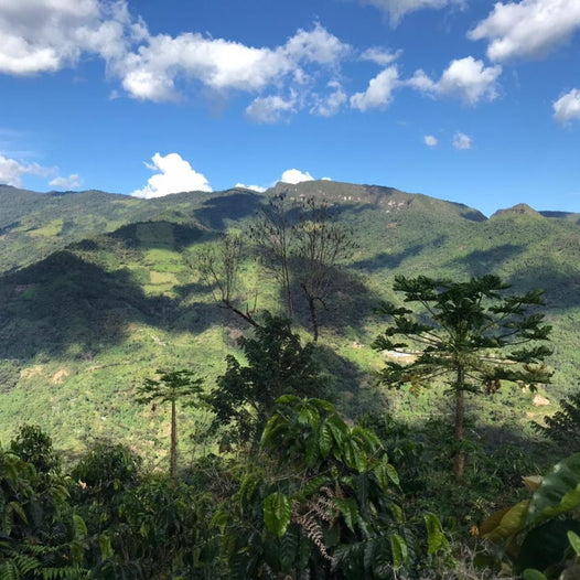 beautiful mountain shot of Loja, Ecuador