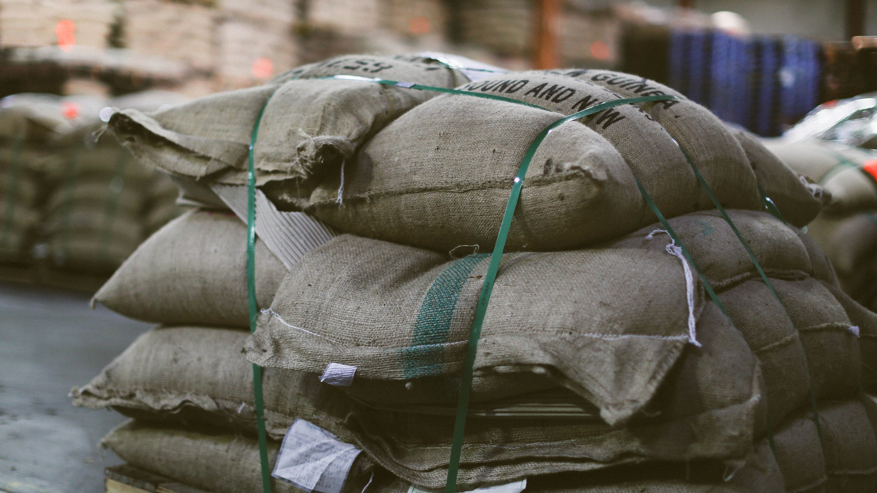green coffee in royal coffee warehouse