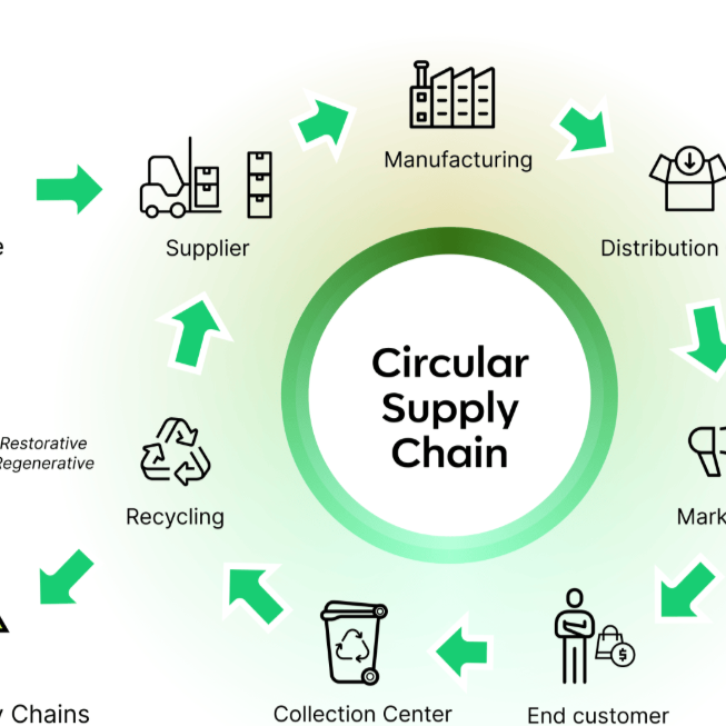 Coffee supply chain