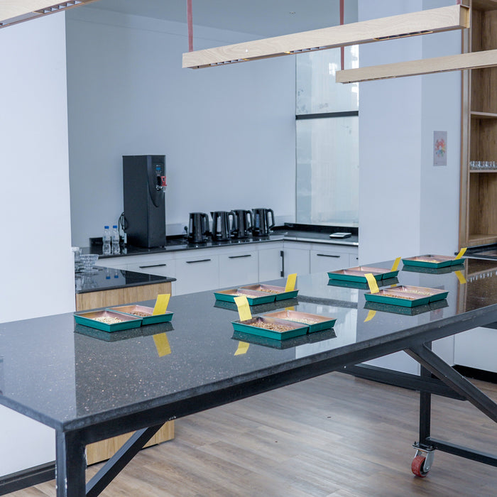 The cupping table at Royal Coffee Addis Ababa