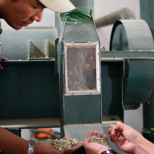 Wet Hulling in Sumatra