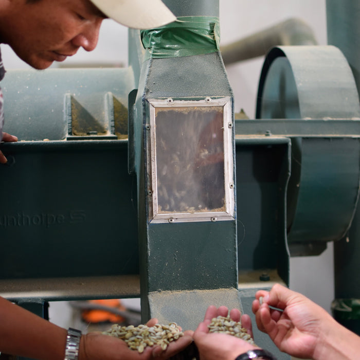 Wet Hulling in Sumatra