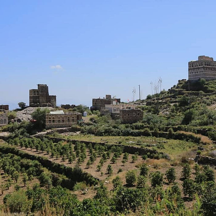 Yemen Mocca Sharqi Haraz Natural Anaerobic2