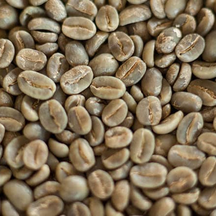 green unroasted coffee