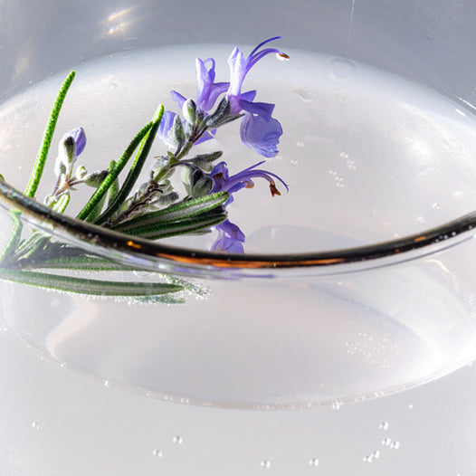 blood orange rosemary shrub
