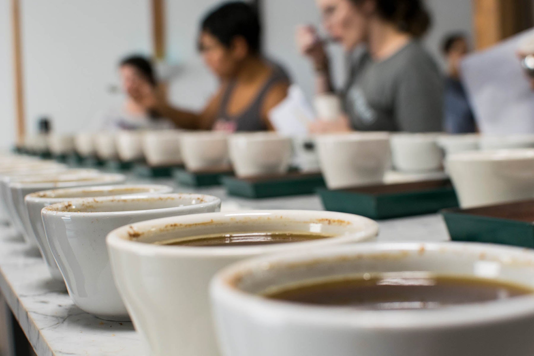 How to Set Up and Run a Coffee Cupping: A Step-by-Step Guide
