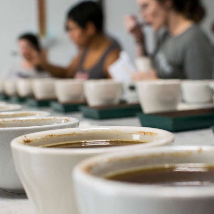How to Set Up and Run a Coffee Cupping: A Step-by-Step Guide