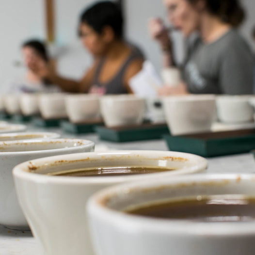 How to Set Up and Run a Coffee Cupping: A Step-by-Step Guide