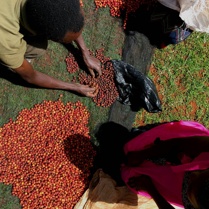 Othaya Society in Kenya