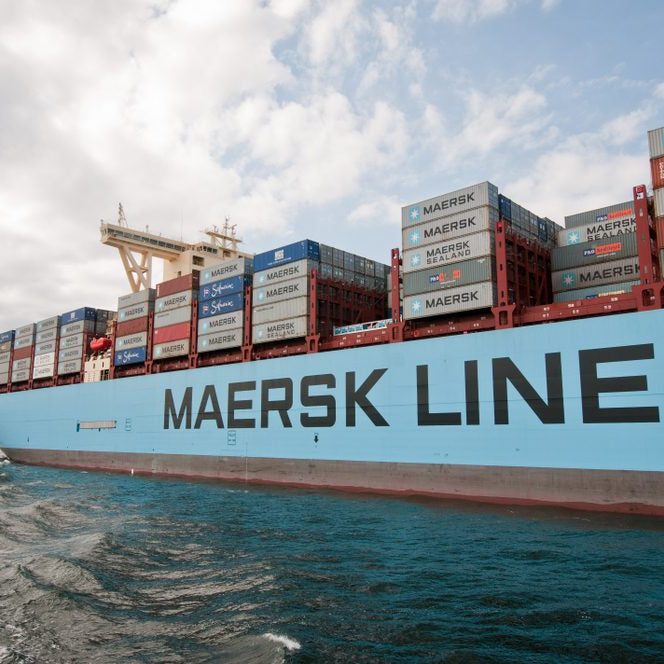 maersk container in the red sea
