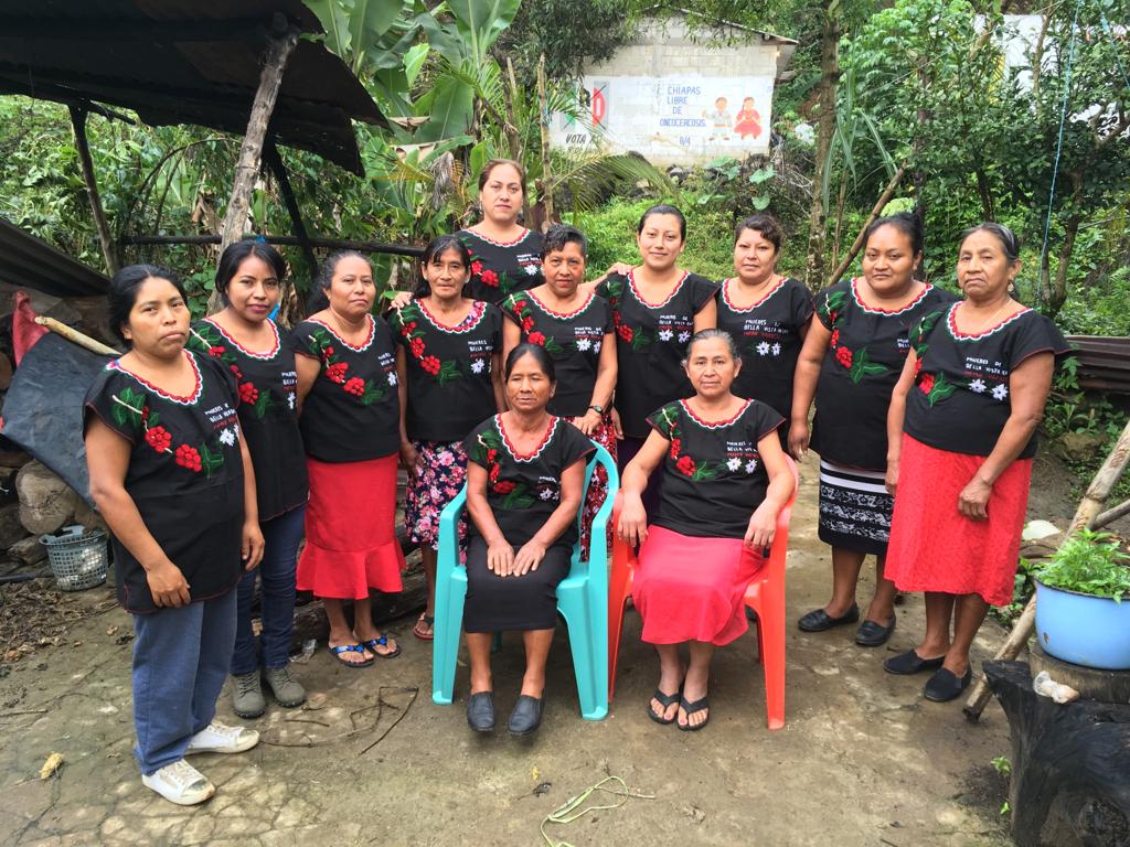 mexico chiapas mayan harvest women's group