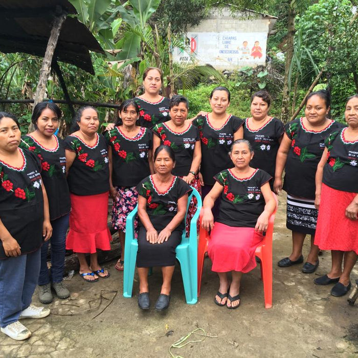mexico chiapas mayan harvest women's group
