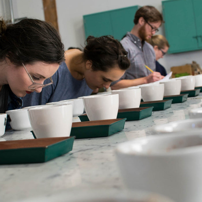 Sensory Classes & Roasting Courses Happening in the Bay Area