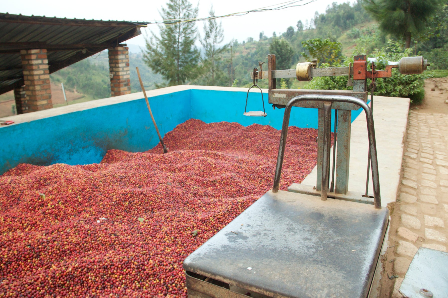 Directing Trade Through the Supply Chain