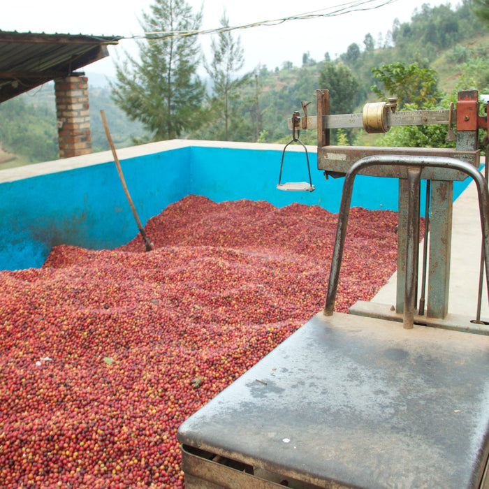 Directing Trade Through the Supply Chain