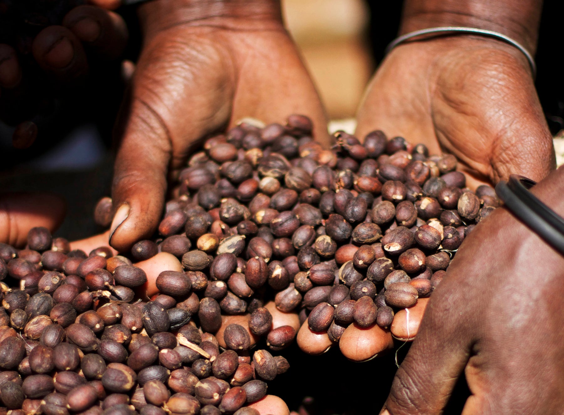ethiopia banko fuafuate