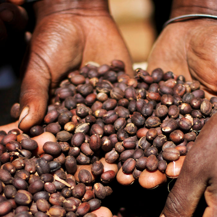 ethiopia banko fuafuate